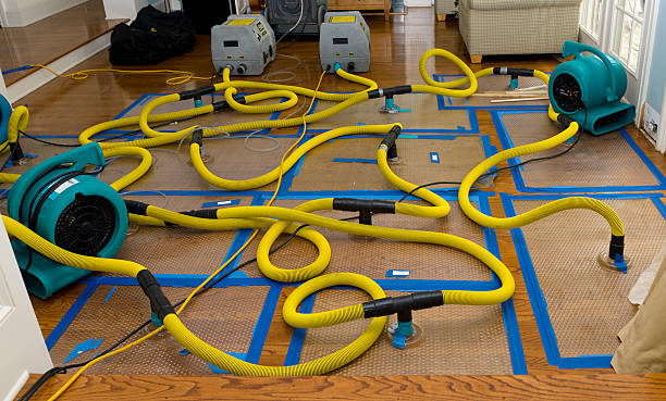Professional Water Damage Restoration technician working in Patten, ME